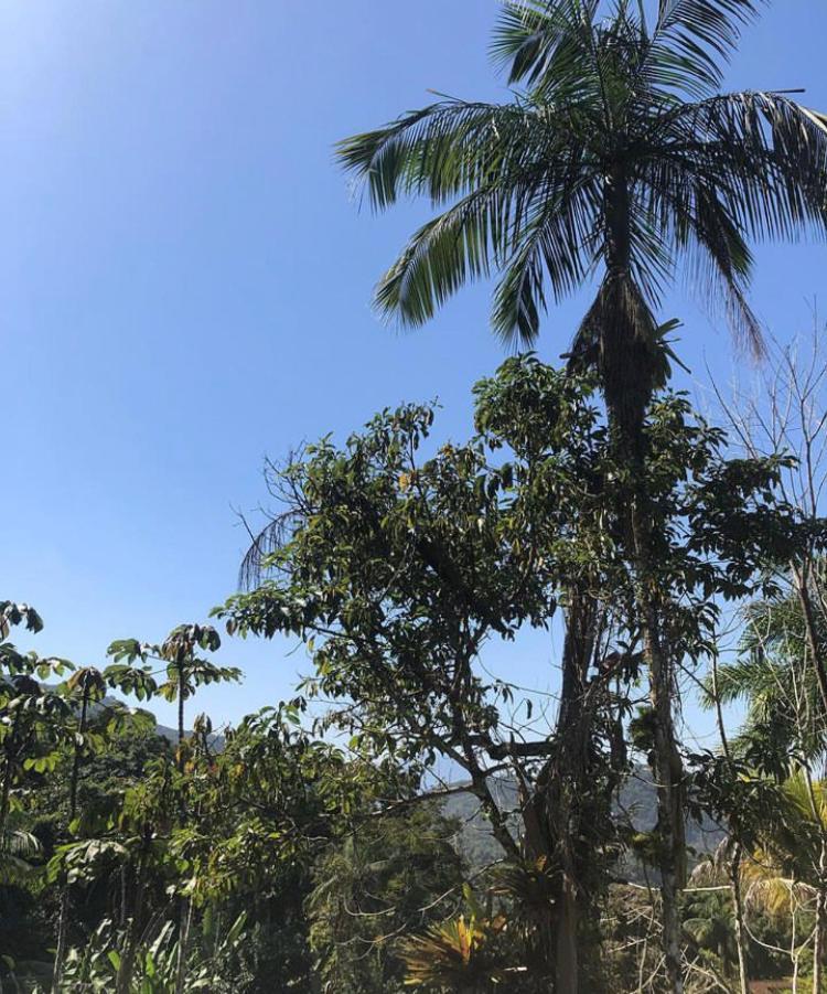 Casa Amarela Prumirim Ubatuba Ngoại thất bức ảnh