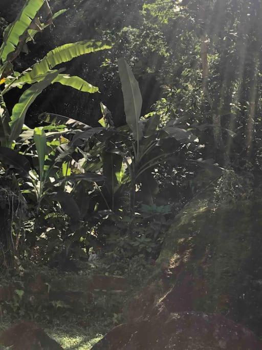 Casa Amarela Prumirim Ubatuba Ngoại thất bức ảnh