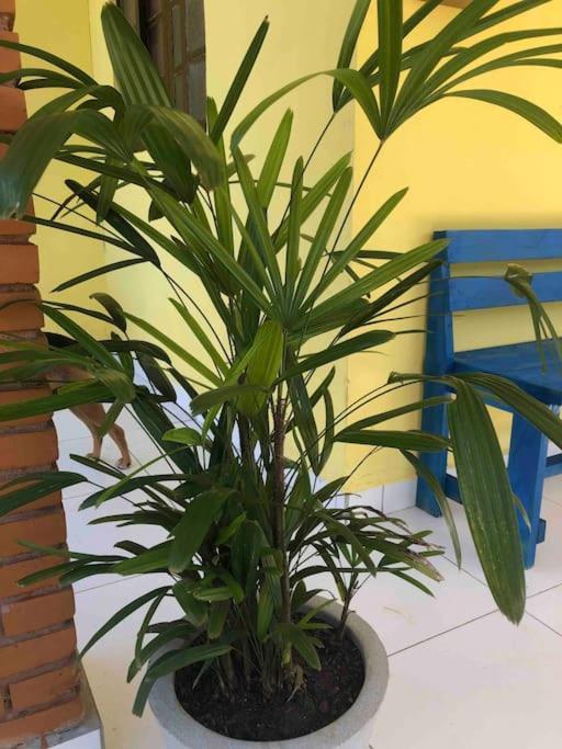 Casa Amarela Prumirim Ubatuba Ngoại thất bức ảnh